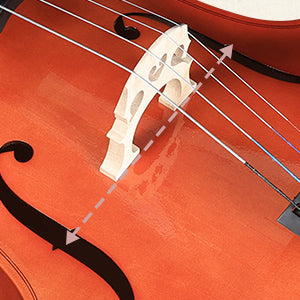 ADM 4/4 Full Size Acoustic Cello, Beginner Acoustic Cello Kit with Portable Bag, Stand, Bow, Mute, Rosin, Endpin Holder for Beginner Adults & Students