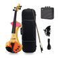 Aileen 20th Anniversary Edition AV-D501 ELECTRIC VIOLIN -4/4 Electric Violin with Carbon Fiber Top, Ebony Fingerboard, Piezo Pickup
