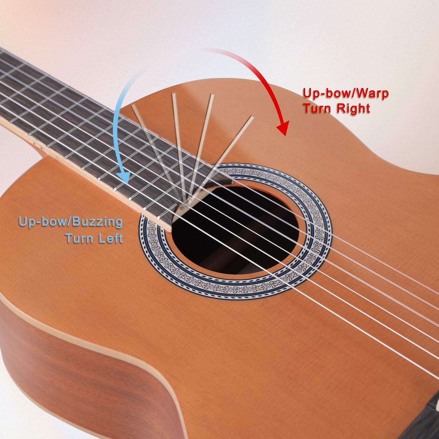 WINZZ AC70H 36-Inch Ceder General Grade  Classical Guitar